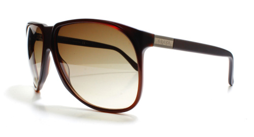 Gucci GG1002/S 806 