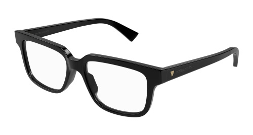 Bottega Veneta BV1256O-001