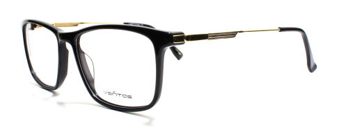 Ventoe 2005 C11