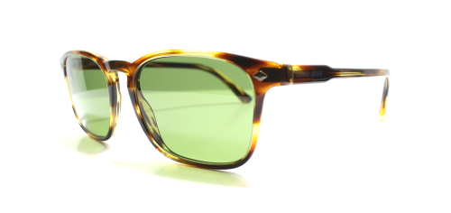 Giorgio Armani 8103 5590/52 